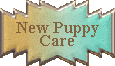 New Puppy Care